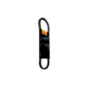 Conjunto de correa dentada Conti ct879k1
