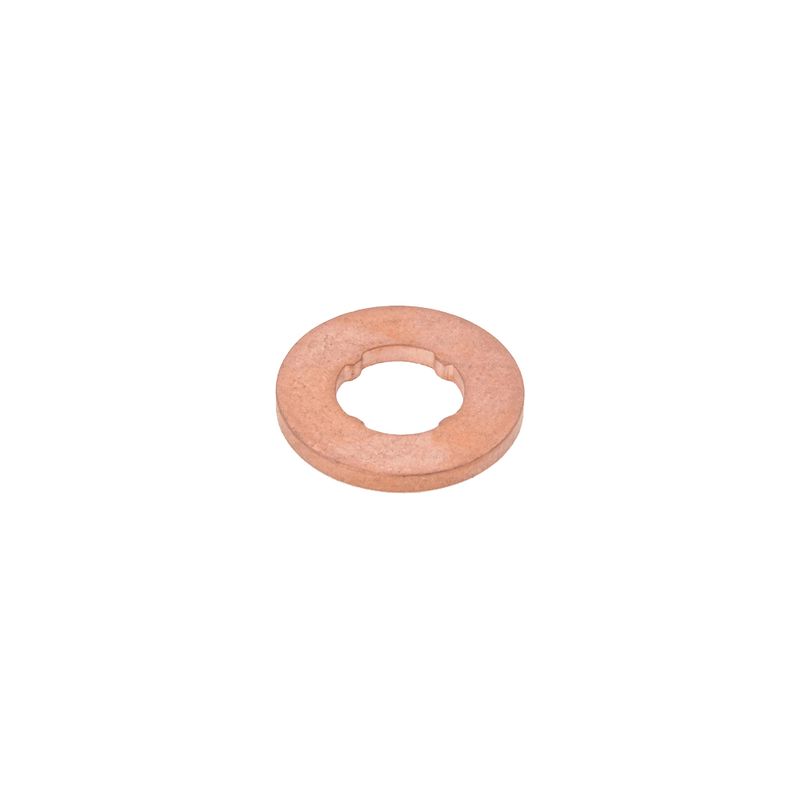 Anel-Vedacao-F00Vc17503-Bosch-sku-84313