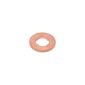 Anel-Vedacao-F00Vc17503-Bosch-sku-84313