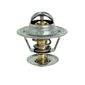 Valvula-Termostatica-Motor-95°C-Sem-Reparo-28895-Mte-Thomson