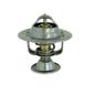 Valvula-Termostatica-Motor-87°C-Sem-Reparo-20887-Mte-Thomson