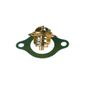 Valvula-Termostatica-Motor-75°C-Sem-Reparo-303575-Wahler
