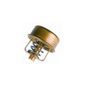 Valvula-Termostatica-Motor-82°C-Sem-Reparo-304982-Wahler