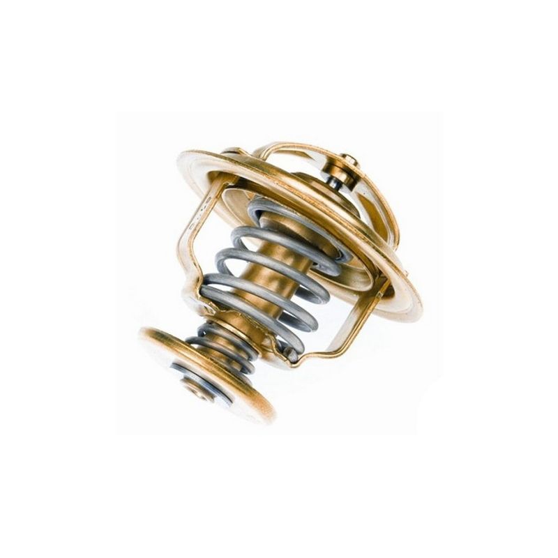 Valvula-Termostatica-Motor-81°C-Sem-Reparo-403881-Wahler
