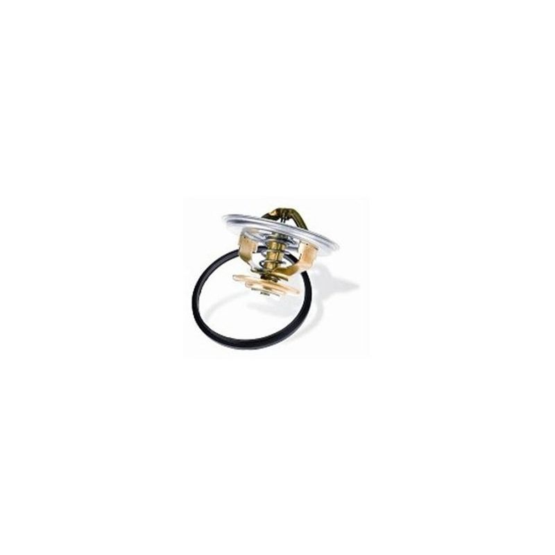 Valvula-Termostatica-Motor-79°C-Sem-Reparo-452079-Wahler