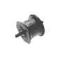 Coxim-Motor-Lateral-Direito-0210326-Monroe-Axios