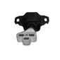 Coxim-Motor-Direito-2776-Sampel