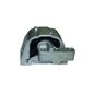 Coxim-Motor-Direito-4959-Sampel