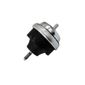 Coxim-Motor-Direito-8067-Sampel