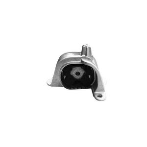 Coxim-Motor-Direito-1131-Sampel