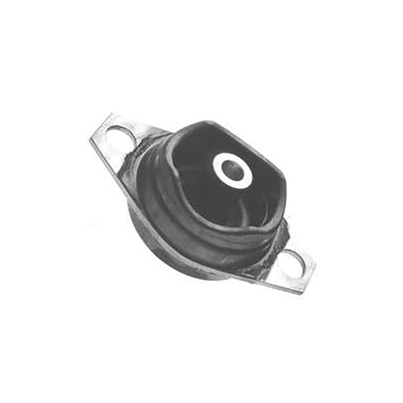 Coxim-Cambio-Lado-Diferencial-0210625-Monroe-Axios Coxim-Cambio-Lado-Diferencial-0210625-Monroe-Axios