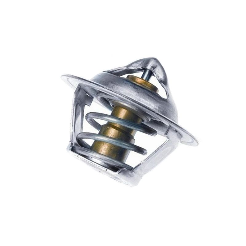 Valvula-Termostatica-Motor-92°C-Sem-Reparo-308292-Wahler Valvula-Termostatica-Motor-92°C-Sem-Reparo-308292-Wahler