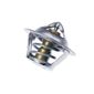 Valvula-Termostatica-Motor-92°C-Sem-Reparo-308292-Wahler