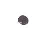 Cinta-Cilindro-Membrana-16-Pol-4231043514-Wabco