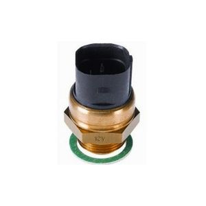 Interruptor-Termico-Radiador-603995-Wahler