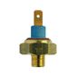 Interruptor-Termico-Radiador-719-Mte-Thomson