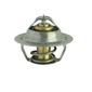 Valvula-Termostatica-Motor-92°C-Sem-Reparo-21792-Mte-Thomson