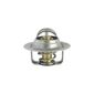 Valvula-Termostatica-Motor-75°C-Com-Reparo-Vt20775-Mte-Thomson