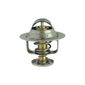 Valvula-Termostatica-Motor-83°C-Com-Reparo-Vt21983-Mte-Thomson