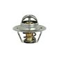Valvula-Termostatica-Motor-88°C-Com-Reparo-Vt24688-Mte-Thomson