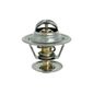 Valvula-Termostatica-Motor-95°C-Com-Reparo-Vt28895-Mte-Thomson