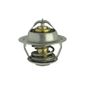 Valvula-Termostatica-Motor-75°C-Com-Reparo-Vt29975-Mte-Thomson