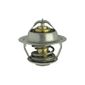 Valvula-Termostatica-Motor-90°C-Com-Reparo-Vt29990-Mte-Thomson