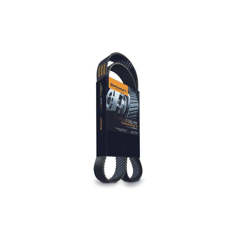 Correia-Poly-V-1150Mm-10Pk1150Gb-Continental-Elite