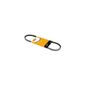 Correia-Poly-V-Avx13X870-Contitech