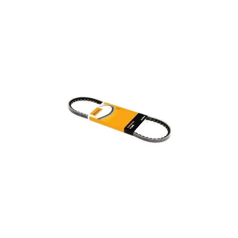 Correia-Poly-V-Avx13X1800-Contitech