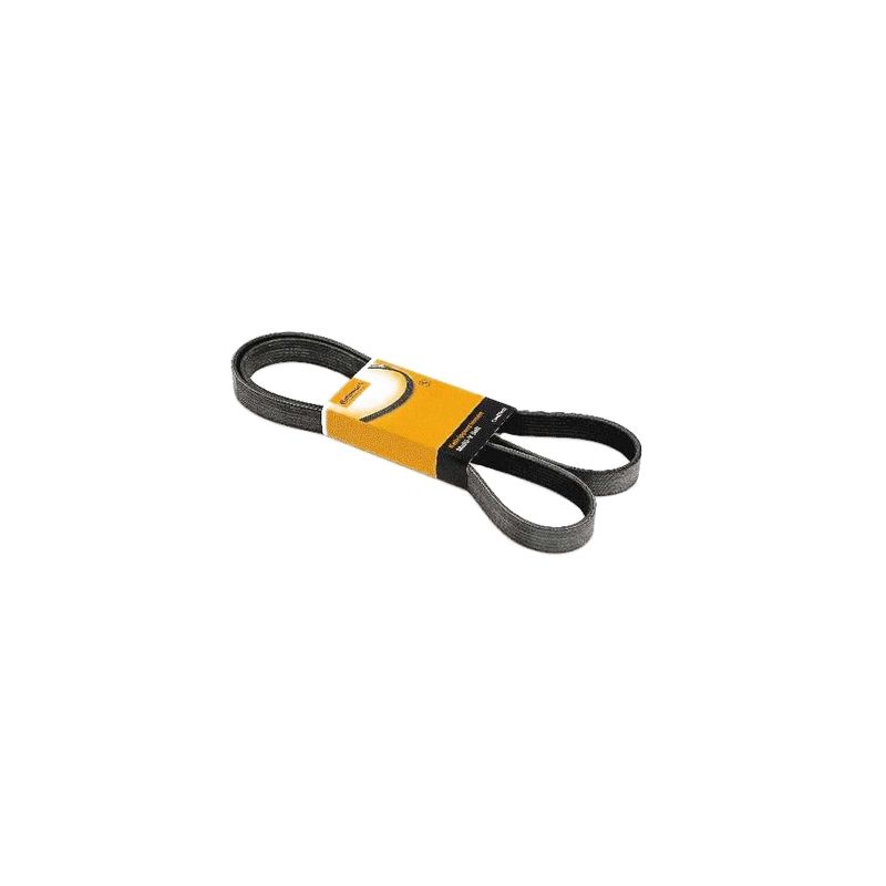 Correia-Multi-V-6Pk1453-Contitech