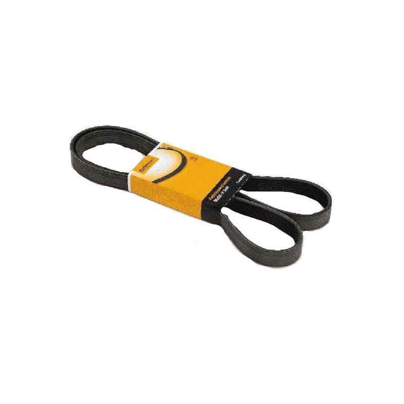 Correia-Multi-V-6Pk2030-Contitech