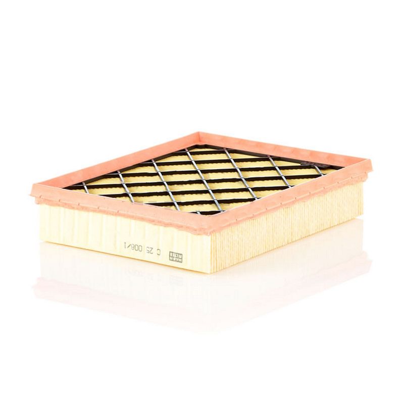 Filtro-De-Ar-Motor-C250081-Mann