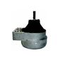 Coxim-Motor-Direito-5211900-Monroe-Axios