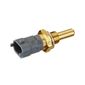 Sensor-Temperatura-Agua-0281002209-Bosch