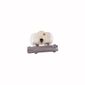 Cilindro-Mestre-Freio-Sem-Abs-Com-Reservatorio-Duplo-4127Mm-Ferro-Fundido-Cm2611-0204032611-Bosch