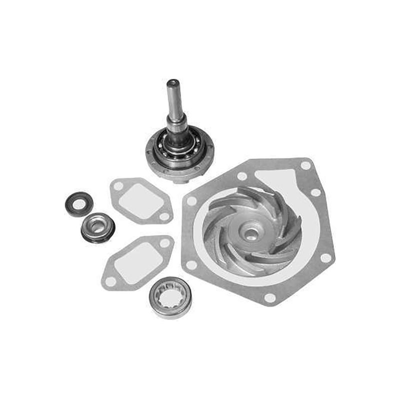 Reparo-Bomba-Dagua-Com-Rolamento-Vkpc4693R-Skf Reparo-Bomba-Dagua-Com-Rolamento-Vkpc4693R-Skf