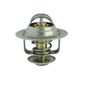 Valvula-Termostatica-Motor-91°C-Sem-Reparo-20591-Mte-Thomson