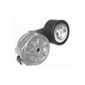 Tensor-Correia-Alternador-Vkm4783-Skf