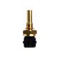 Sensor-Temperatura-Injecao-Eletronica-411342-Wahler