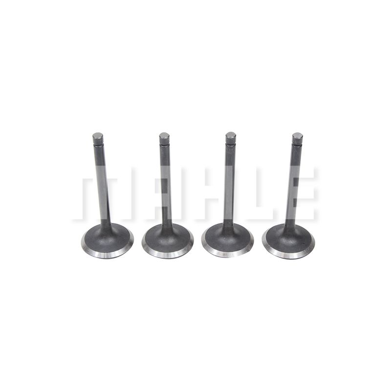 Valvula-Cabecote-Motor-Admissao-Std-Va0630213Std-Mahle Valvula-Cabecote-Motor-Admissao-Std-Va0630213Std-Mahle
