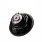 Subwoofer-10-Polegadas-Bobina-Dupla-2-2-Ohms-250W-Nar-Audio