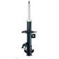 AMORTECEDOR-SUSPENSAO-DIANTEIRO-DIREITO-TURBOGAS-GP30560-COFAP
