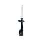 AMORTECEDOR-SUSPENSAO-TRASEIRO-DIREITO-TURBOGAS-GP33230-COFAP