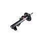 AMORTECEDOR-SUSPENSAO-DIANTEIRO-DIREITO-OESPECTRUM-742032SP-MONROE