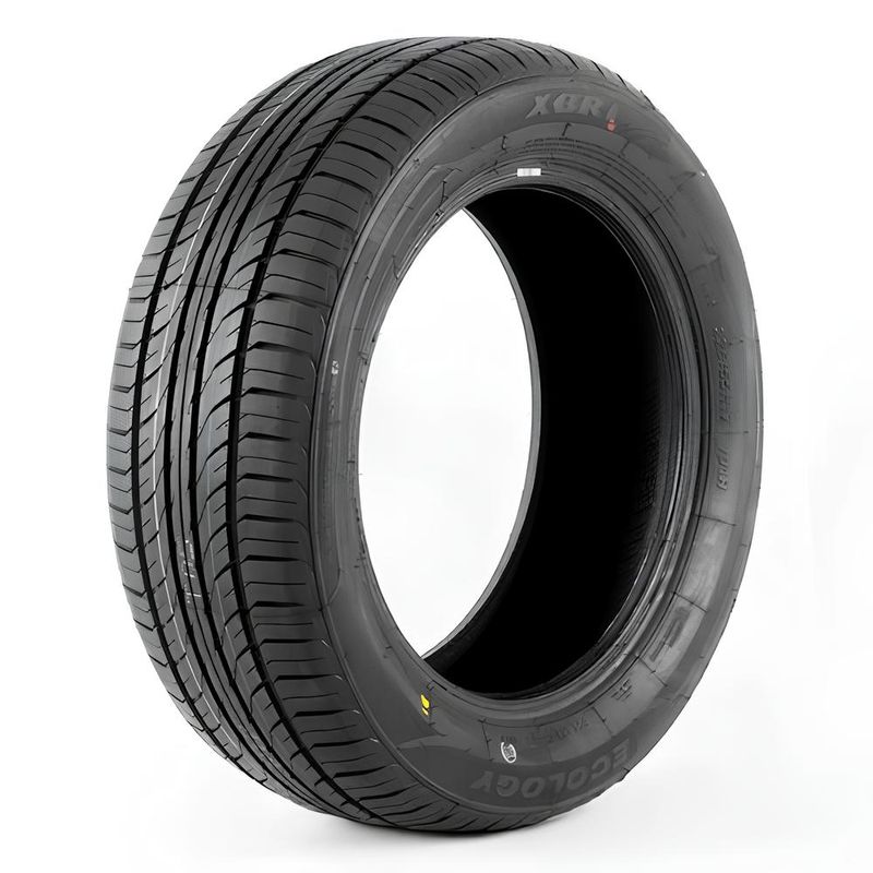 ECOLOGY.jpg ECOLOGY.jpg