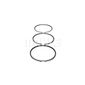 METAL-LEVE_SDC6978STD