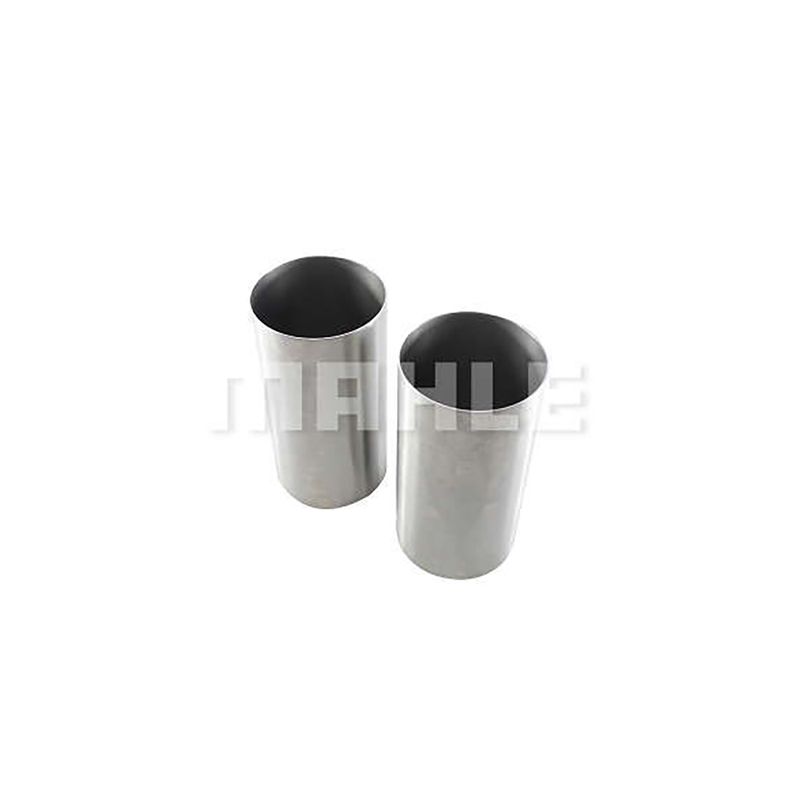 MAHLE_C21100STD