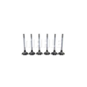 MAHLE_VE0130098STD