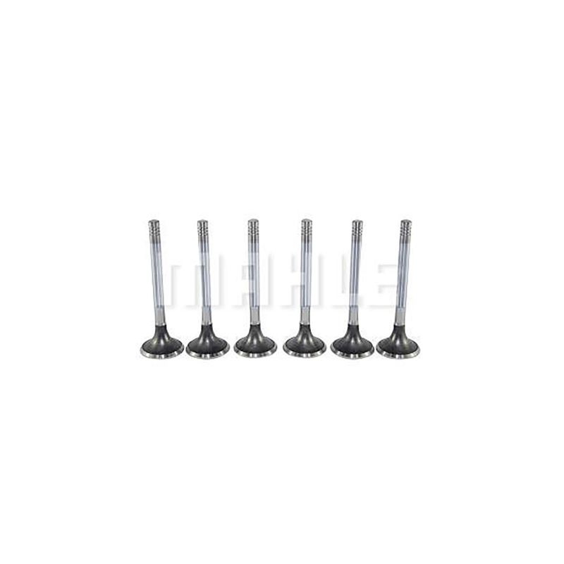 MAHLE_VE0130098STD